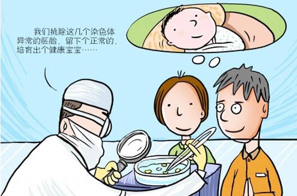 捐卵价格