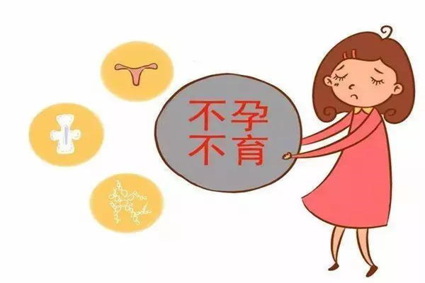 养卵助孕的食物