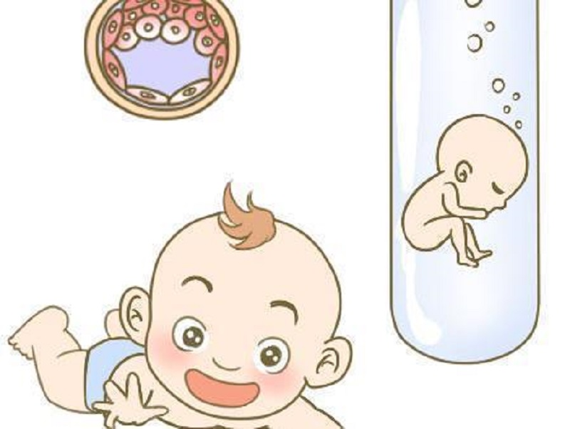 卵子质量