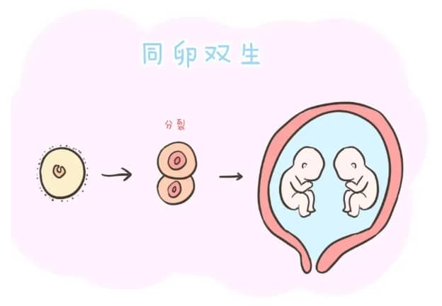 卵巢保健